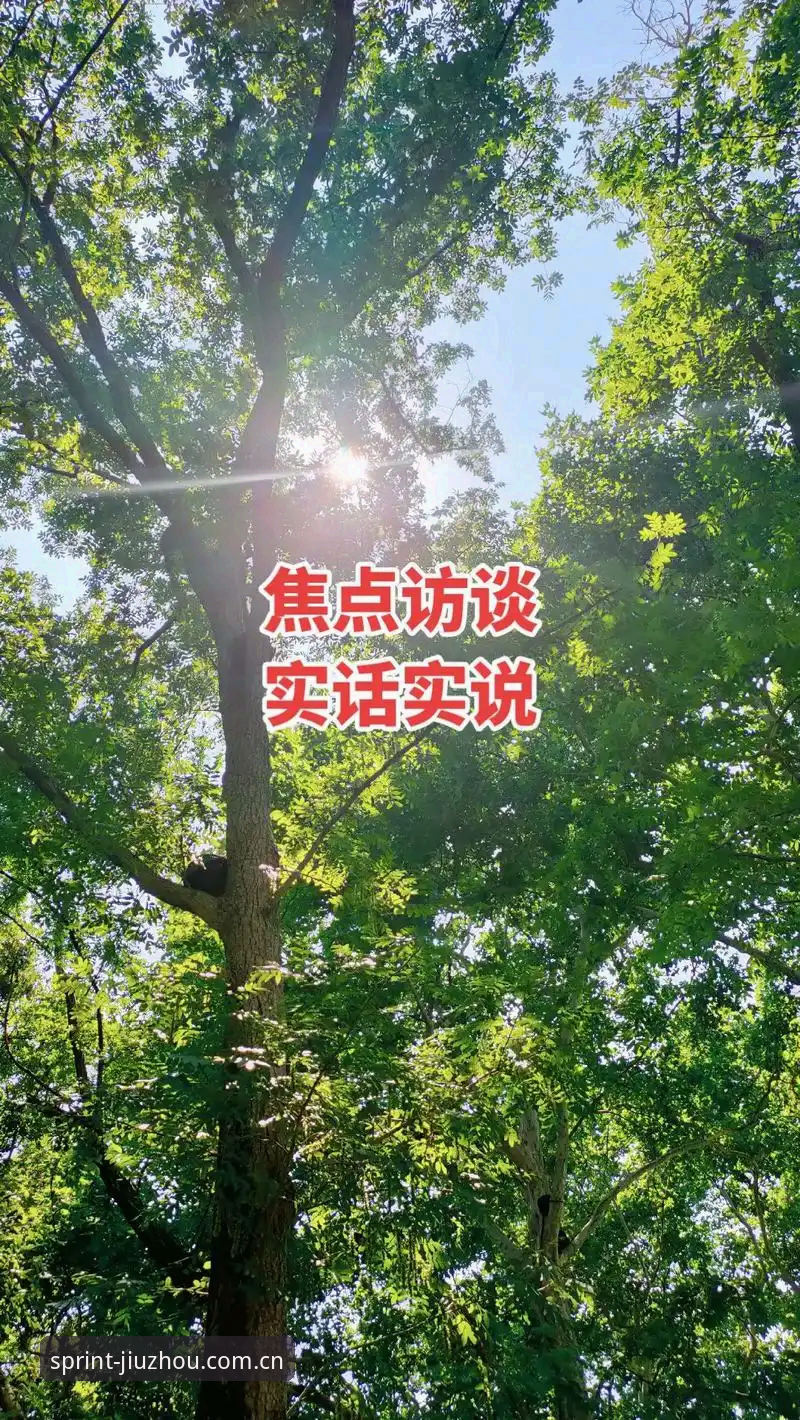 九州体育怎么样 老用户实话实说:九州体育平台v4.2.0更新实战经验分享